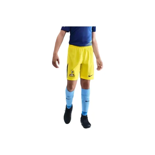 nike Tottenham Hotspur 2025 26 Stadium Третьи Шорты Детские