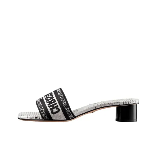 DIOR Dway Шлепанцы Женские Черный Белый