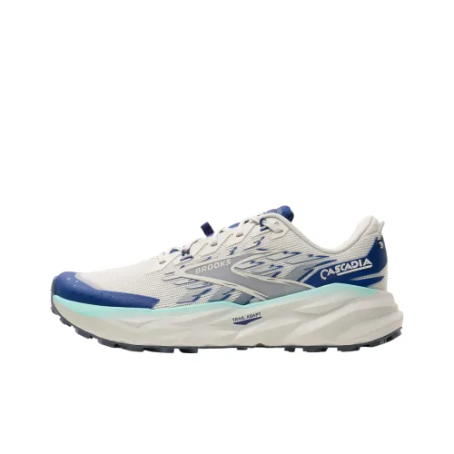 Беги Кроссовки Brooks Cascadia 19 Мужские