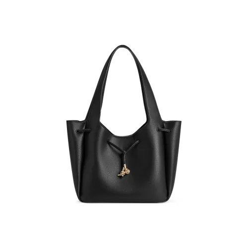 CHARLES KEITH ПУ (полиуретан) Сумка через плечо Стандартная Женская Однотонная