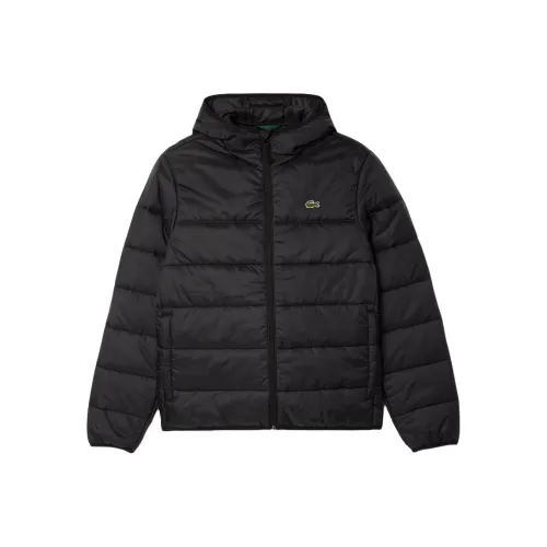 Lacoste Черный C31 Мужские Куртки