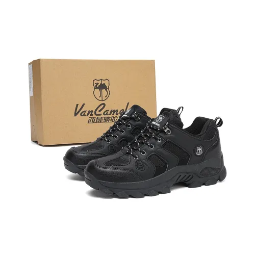 VanCamel Альпинистские и туристические ботинки низкие мужские