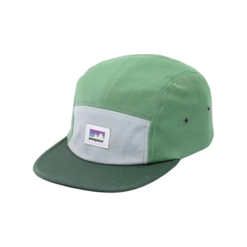 Patagonia Organic Cotton Кепки Унисекс Зеленый