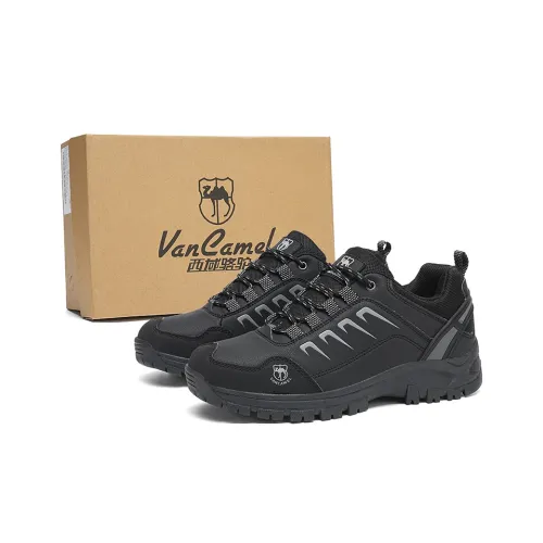 VanCamel Альпинистские и туристические ботинки низкие мужские