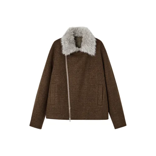 EARL JOEL Какао-коричневый Мужской Пуховик