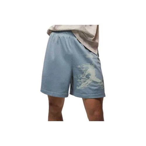 Джордан Sustainable Materials Спортивные шорты Мужские