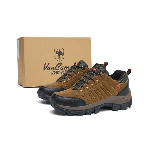 VanCamel Альпинистские и туристические ботинки низкие мужские