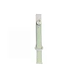 Светло-зеленый ремень для яблока