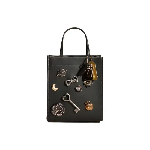 COACH Cashin Кожа Сумка через плечо Сумка Мини Женская Черная