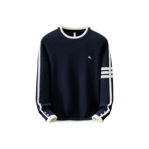 POLOMEISDO Унисекс Свитера