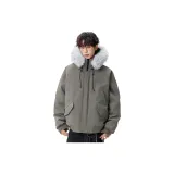 Цвет серой чайки