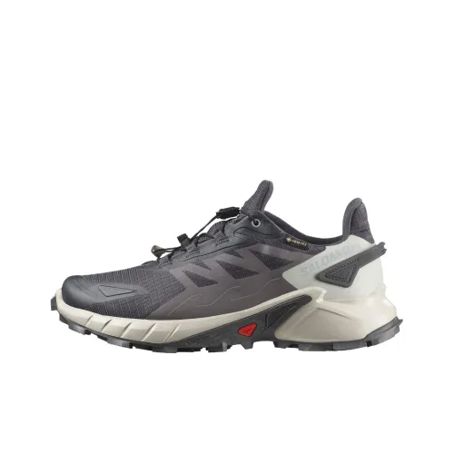 SALOMON Supercross 4 Трейлраннинг Обувь Серый Женский
