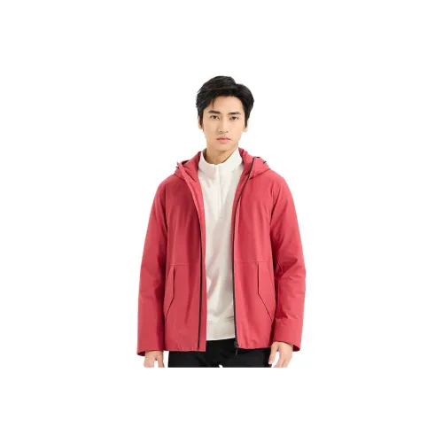 LESS IS MORE Бургунди Мужские Пуховики