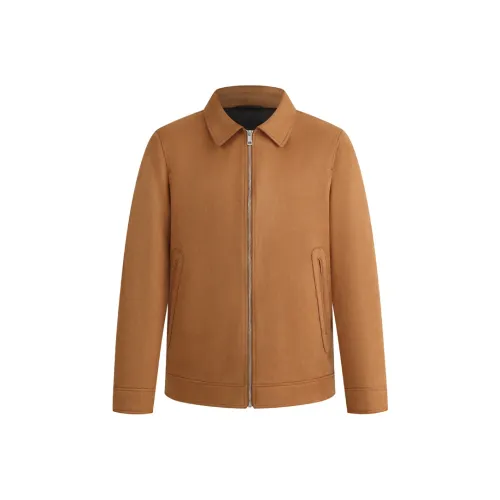 ROYAL FAMILY Мужская пуховая одежда