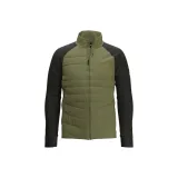 Зимний лесной мшистый