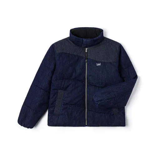 Lee Темно-синий Мужской Пуховик