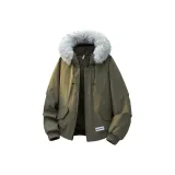 Цвет серой чайки