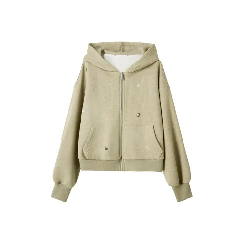 UENA Чикпэе Зеленый В наличии Женские Свитшоты