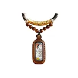 Лиса Спирит