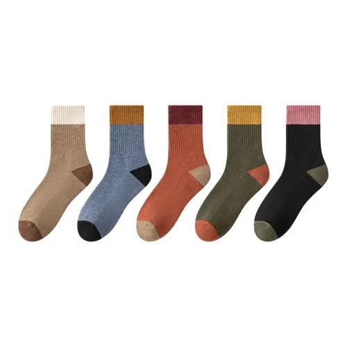 Lanza Носки Crew Махровые Утолщенные Мужские 5 Пачек Стиль Maillard Цветовые Блоки