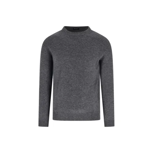 Ermenegildo Zegna Серый Мужской Кашемировые Свитера