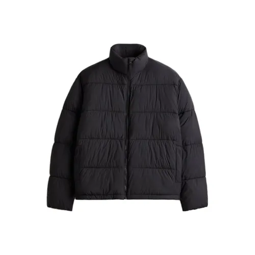 H M Черные Мужские Пуховики