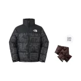 Чернила - окрашенные / 8R0 (в комплекте с коричневым шарфом из гусиного пуха)