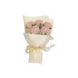 5 Розовый Розовый Розовый Букет