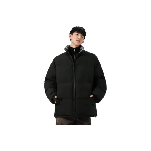 TUOFEI Черный Унисекс Пуховики