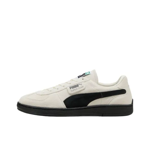 PUMA Устойчивые к истиранию низкие кроссовки для скейтбординга унисекс белые