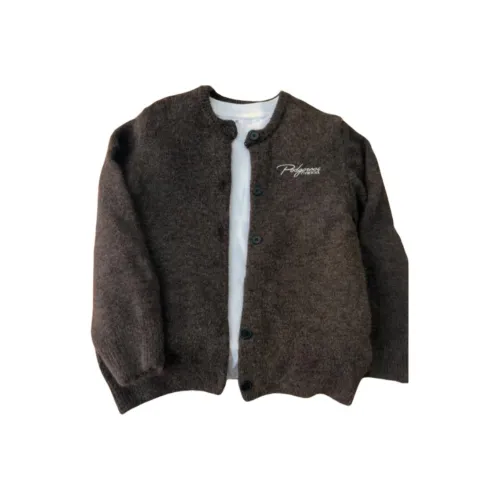 PODGORNOI Темно-коричневый с подарками съемный металлический ярлык мужской трикотаж