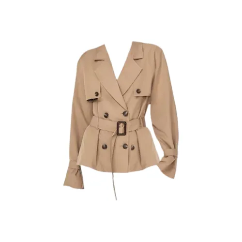 Yishi A Традиционный Китайский Термин Для Пара Брошей Носимых Женщинами Часто Из Нефрита Тренчкот Женские