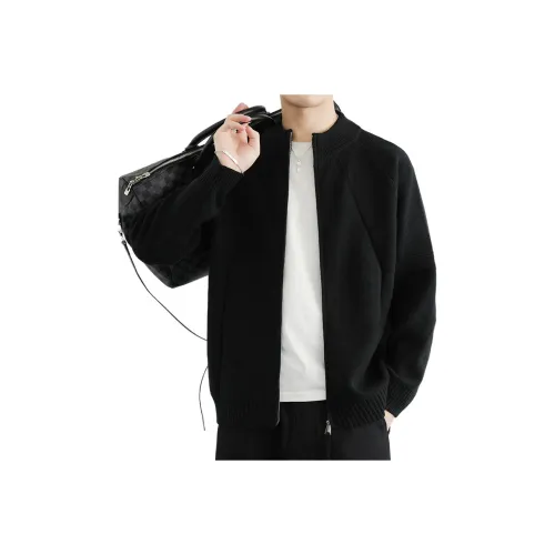 SLLAVIF Мужской Трикотаж