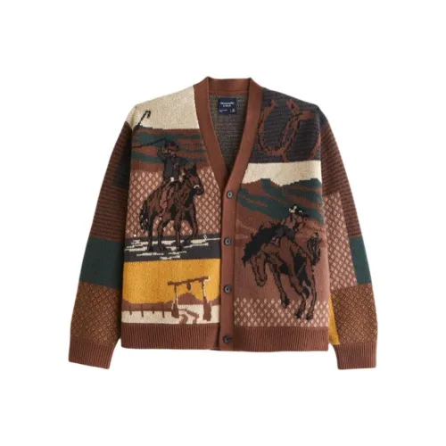 Abercrombie＆Fitch FW25 Трикотаж Мужской