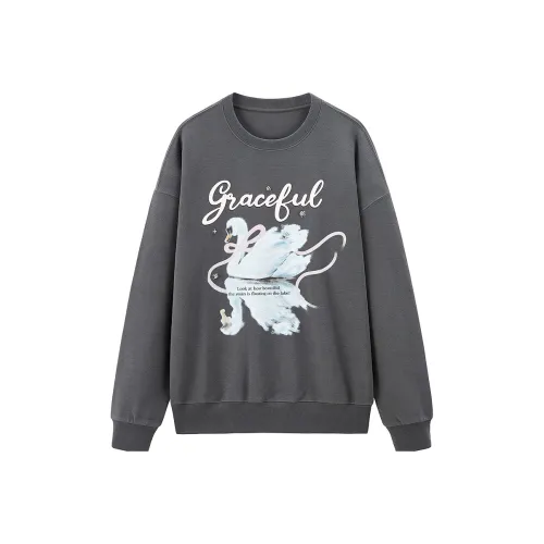 LEDIN Carbon Gray В наличии Женские Свитшоты