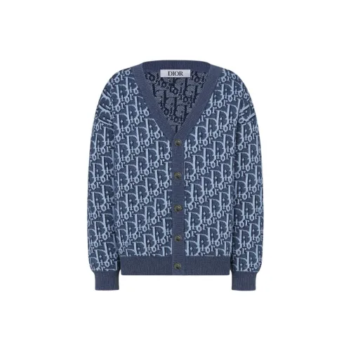 DIOR Синие Детские Свитера