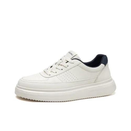 AOKANG Износостойкие Легкие Дышащие Увеличивающие Высоту Низкие Кроссовки для Скейтбординга Мужские