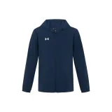 Коллегиальный синий