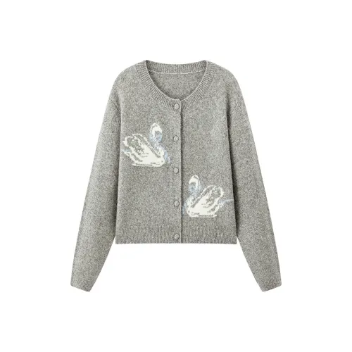 LEDIN Silver Candle Gray In Stock Women's Knitwear