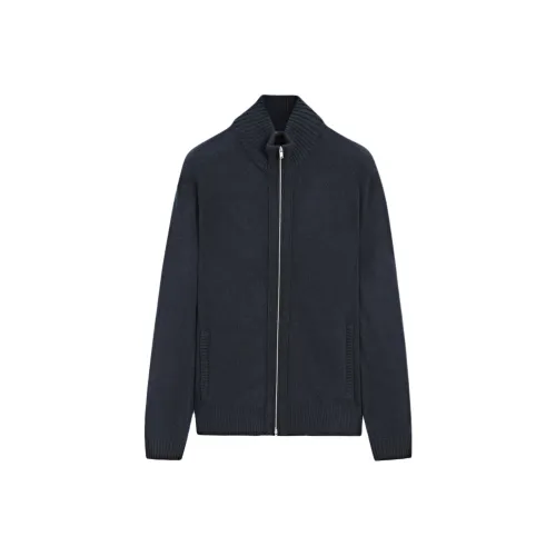 Massimo Dutti Мужские Синие Свитера