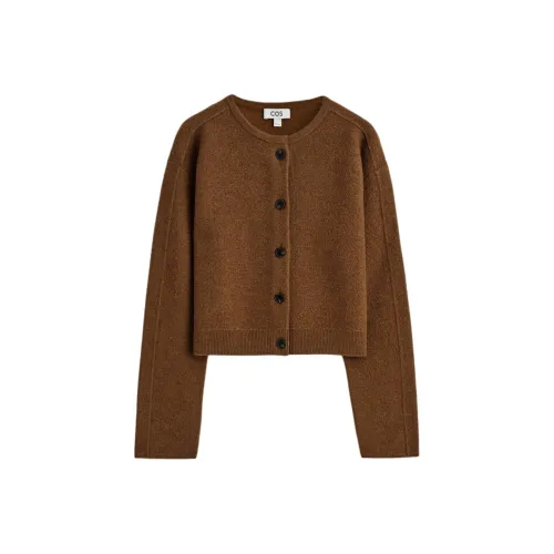 COS Коричневый Женский Трикотаж