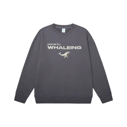 QIANJINNIU Мужские Свитшоты