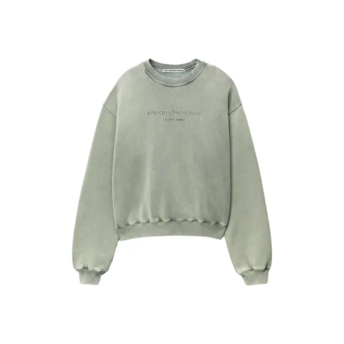 Alexander Wang SS24 Свитшот Унисекс ACID Wash Дымчатый Зеленый