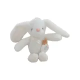 Длинноухий кролик - белый