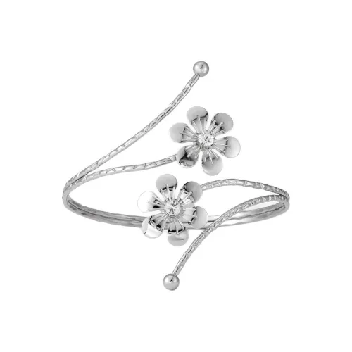 CIDER Сплав Браслеты Женское Серебро