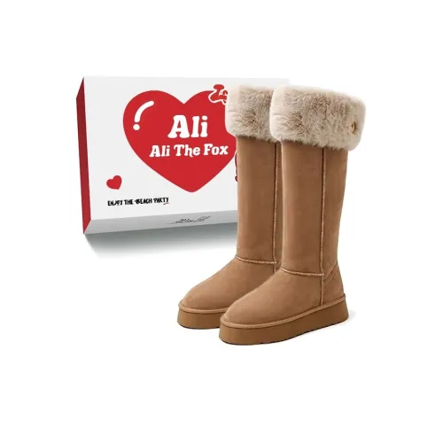 Али Тх Фокс Флис С подкладкой устойчивый к холоду минималистский стиль мода повседневные высокие ботинки для снега женские