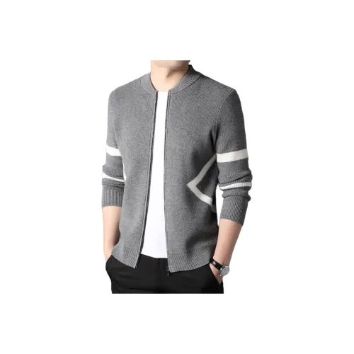 SLLAVIF Мужской Трикотаж