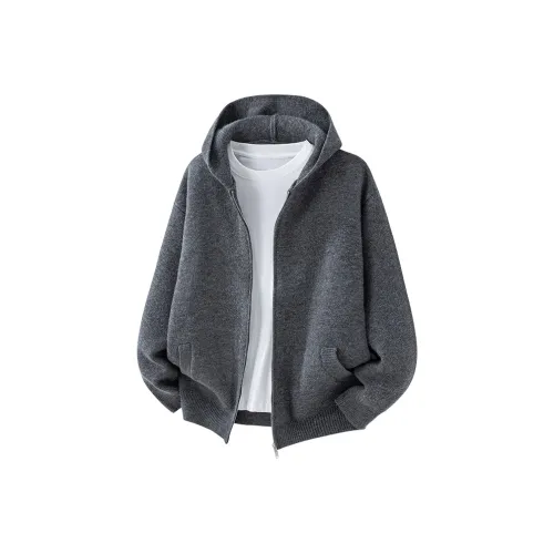 SLLAVIF Темный Фотиния Серый Мужской Свитшот