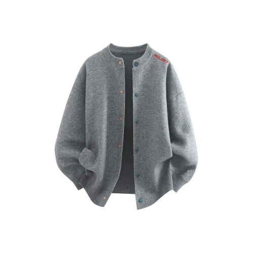 AULDEY Унисекс Свитера