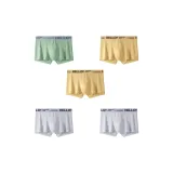 5 пачек C3 (Фрукт Зеленый + Имбирь Желтый + Имбирь Желтый + Светло-Серый + Светло-Серый)